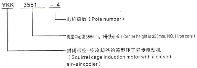 YKK系列(H355-1000)高压YE2-132M-8三相异步电机西安泰富西玛电机型号说明