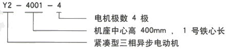 YR系列(H355-1000)高压YE2-132M-8三相异步电机西安西玛电机型号说明